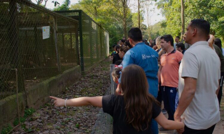 Éxito total en vacaciones: Más de dos mil personas visitaron la Reserva Guaycolec