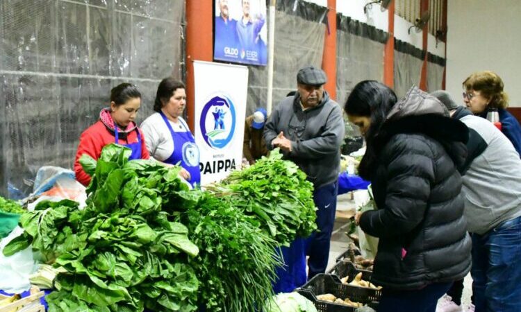 Ferias del PAIPPA: Producción local al alcance de todos