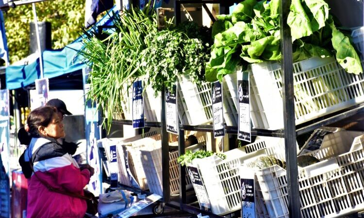 SAF beneficiará a vecinos del barrio Bernardino Rivadavia con la venta de alimentos a precios accesibles