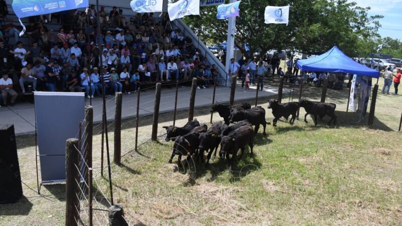 Con gran éxito se realizó la Feria Ganadera Paippera en Laguna Blanca