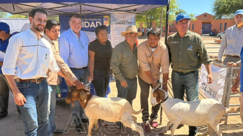 El PAIPPA entregó reproductores caprinos a productores paipperos del oeste formoseño