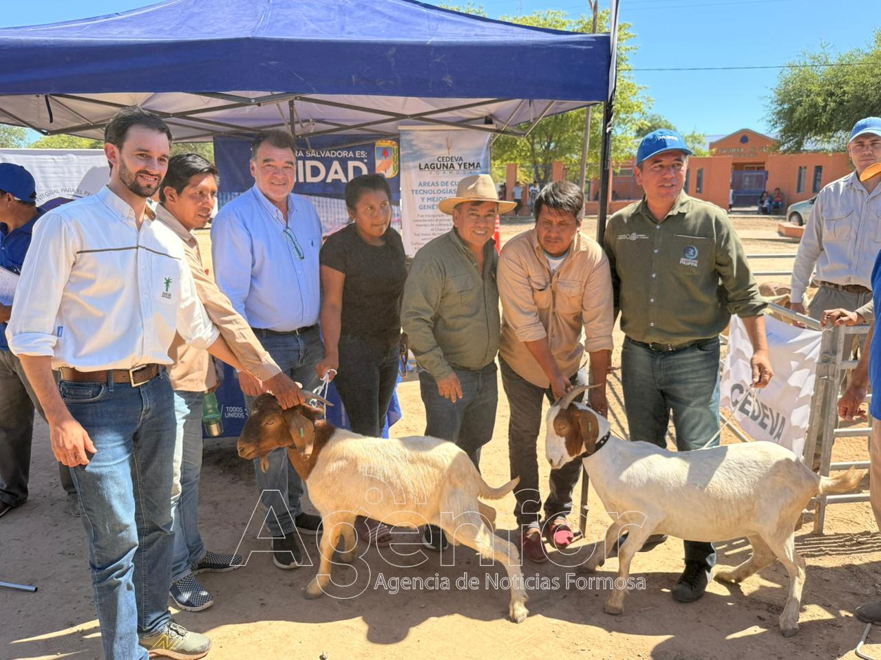 El PAIPPA entregó reproductores caprinos a productores paipperos del oeste formoseño