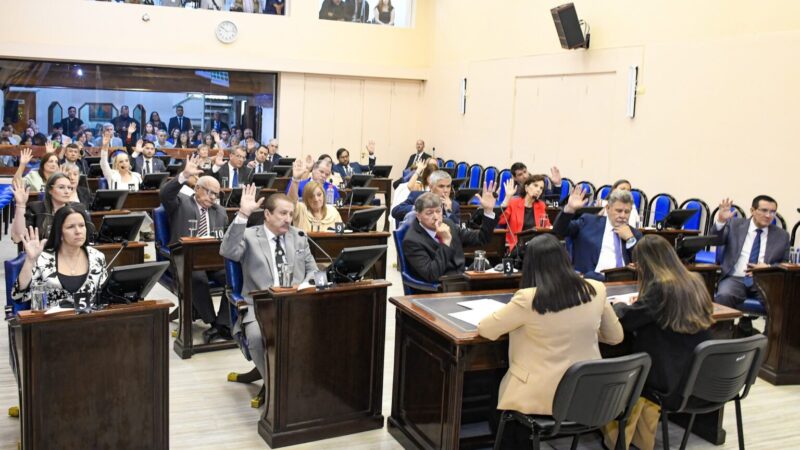 Renovación legislativa: Juraron los nuevos diputados provinciales de Formosa