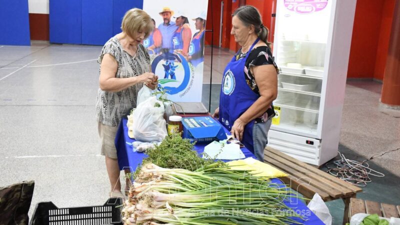 Nueva edición de ferias paipperas de verano