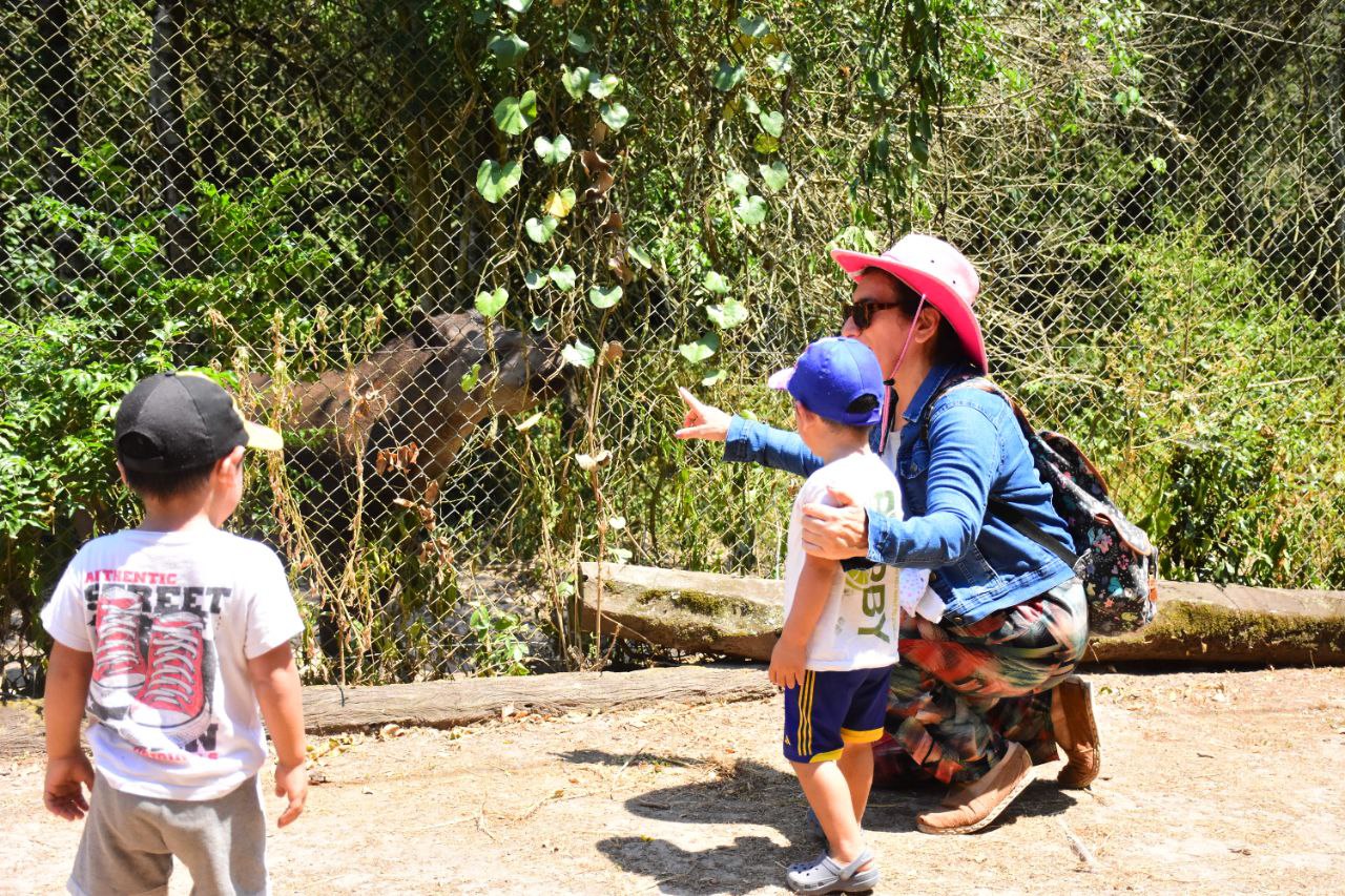 Por tareas de mantenimiento, Guaycolec cierra este fin de semana