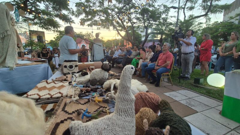 El vicegobernador Eber Solís acompañó el homenaje a los artesanos formoseños en su día