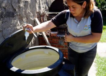 Dengue: Instan a reforzar la eliminación de criaderos tras las lluvias