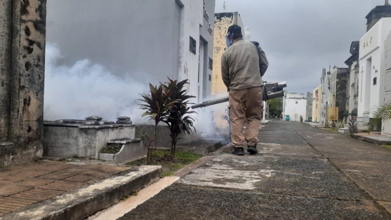 El Gobierno provincial refuerza las acciones contra el dengue en cementerios de la Capital