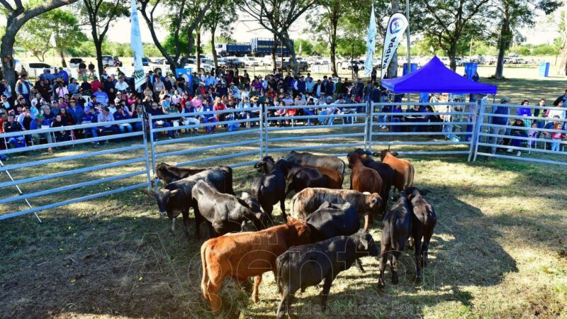 Exitosa Primera Feria Ganadera Paippera en Misión Laishí