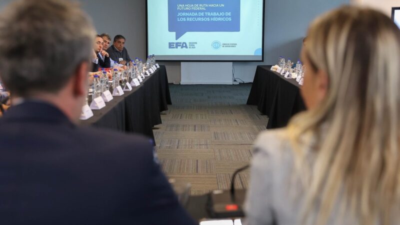 Formosa participó del Encuentro Federal del Agua convocado por el CFI