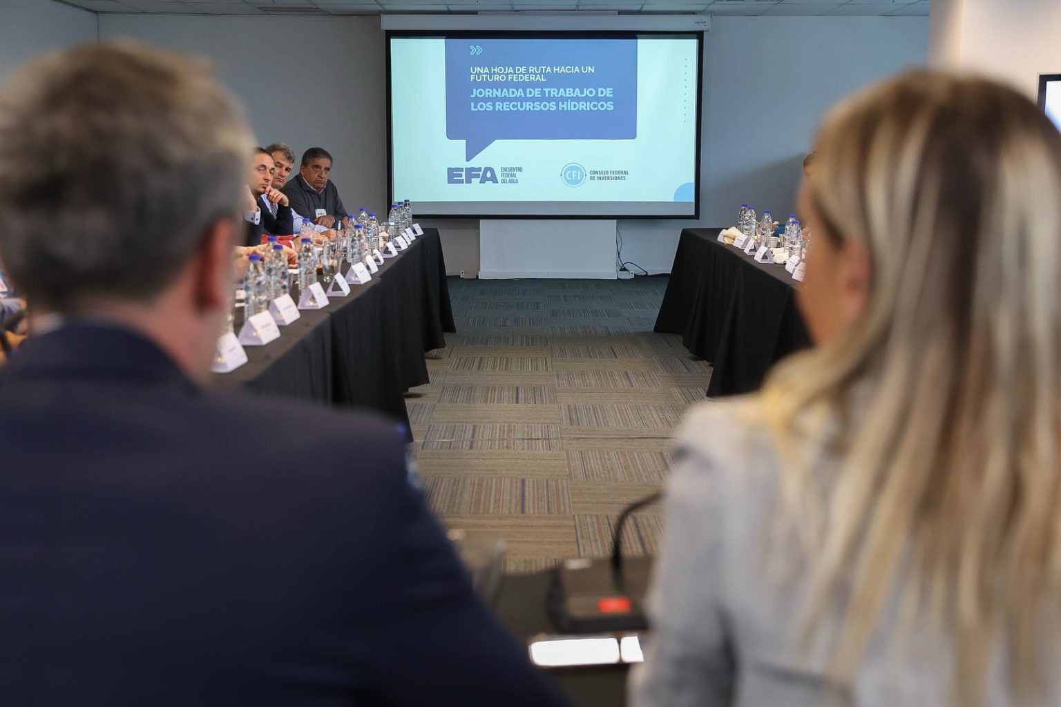 Formosa participó del Encuentro Federal del Agua convocado por el CFI
