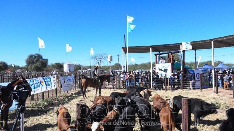 Con sede en Fortín Soledad, se realizará una nueva Feria Ganadera Paippera