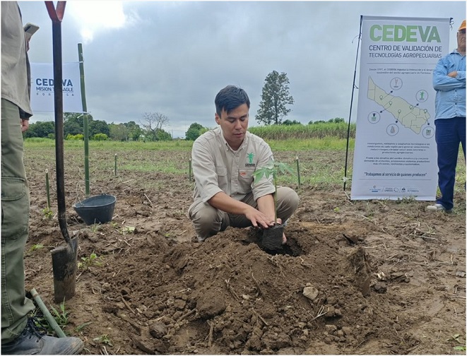 Más producción y diversificación: El CEDEVA capacitó a productores formoseños sobre el cultivo de mamón