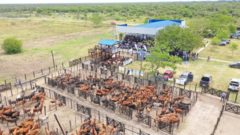 Laguna Blanca: Destacan el impacto del remate ganadero en el desarrollo productivo y la economía regional de Formosa